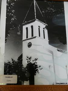 TRUMELET (3)